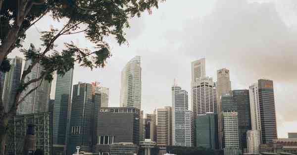 人工智能机器人和人谈恋爱