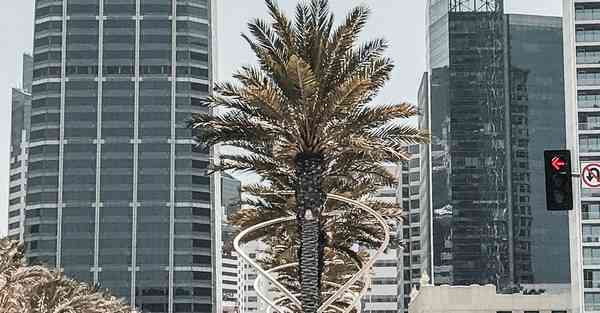 AI绘画甜美女孩动漫