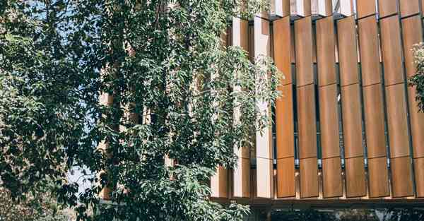 适合小学生的智能机器人，适合小学生的智能机器人课