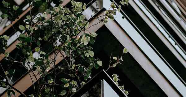 chatgpt对教师的影响