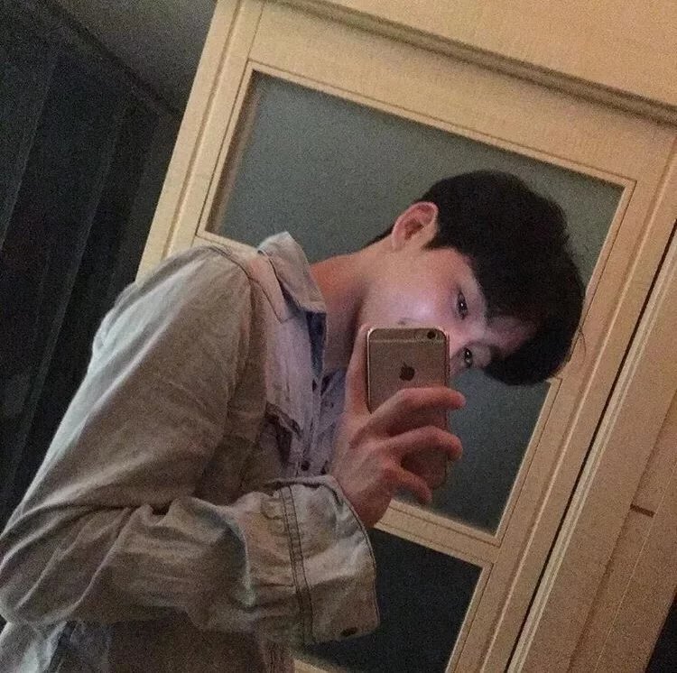 雍诚振菁