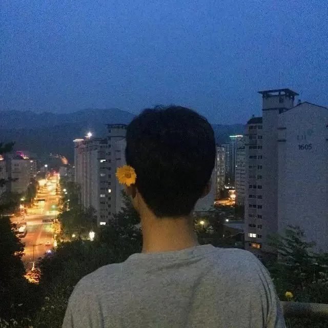 邵彩会枫